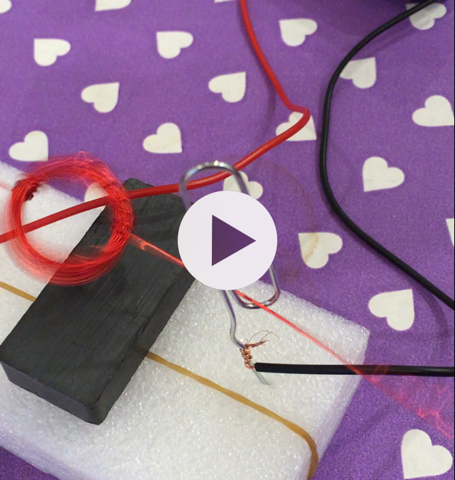 Build Your Own Electric Motor