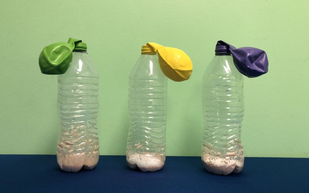 Yeast Diet